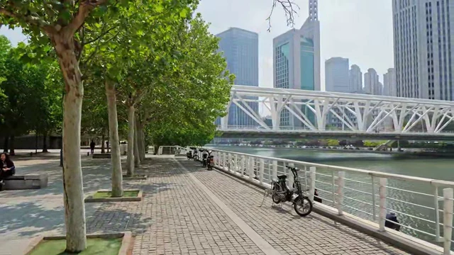 A riverside promenade features a paved brick walkway lined with a row of tall, leafy trees on the left. Several bicycles are parked along the white metal railing that borders the water. Across the river, a large white truss bridge spans the waterway, connecting to a dense skyline of modern high-rise buildings. The scene is illuminated by bright daylight, casting distinct shadows from the trees onto the path. The water reflects the light and the structures on the opposite bank, creating a serene urban atmosphere.